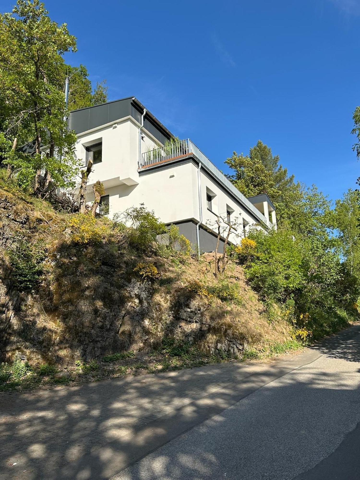 Villa Holgenbach - Penthouse- Und Ferienwohnung Im Nationalpark Eifel Schleiden Exterior photo